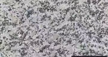 广州 芙蓉白（芝麻白大花）火烧面