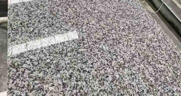 广州 芙蓉白光面