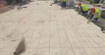 广州黄金麻荔枝面地铺案例