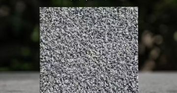 广州 芝麻黑荔枝面