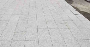 广州芝麻白地铺案例