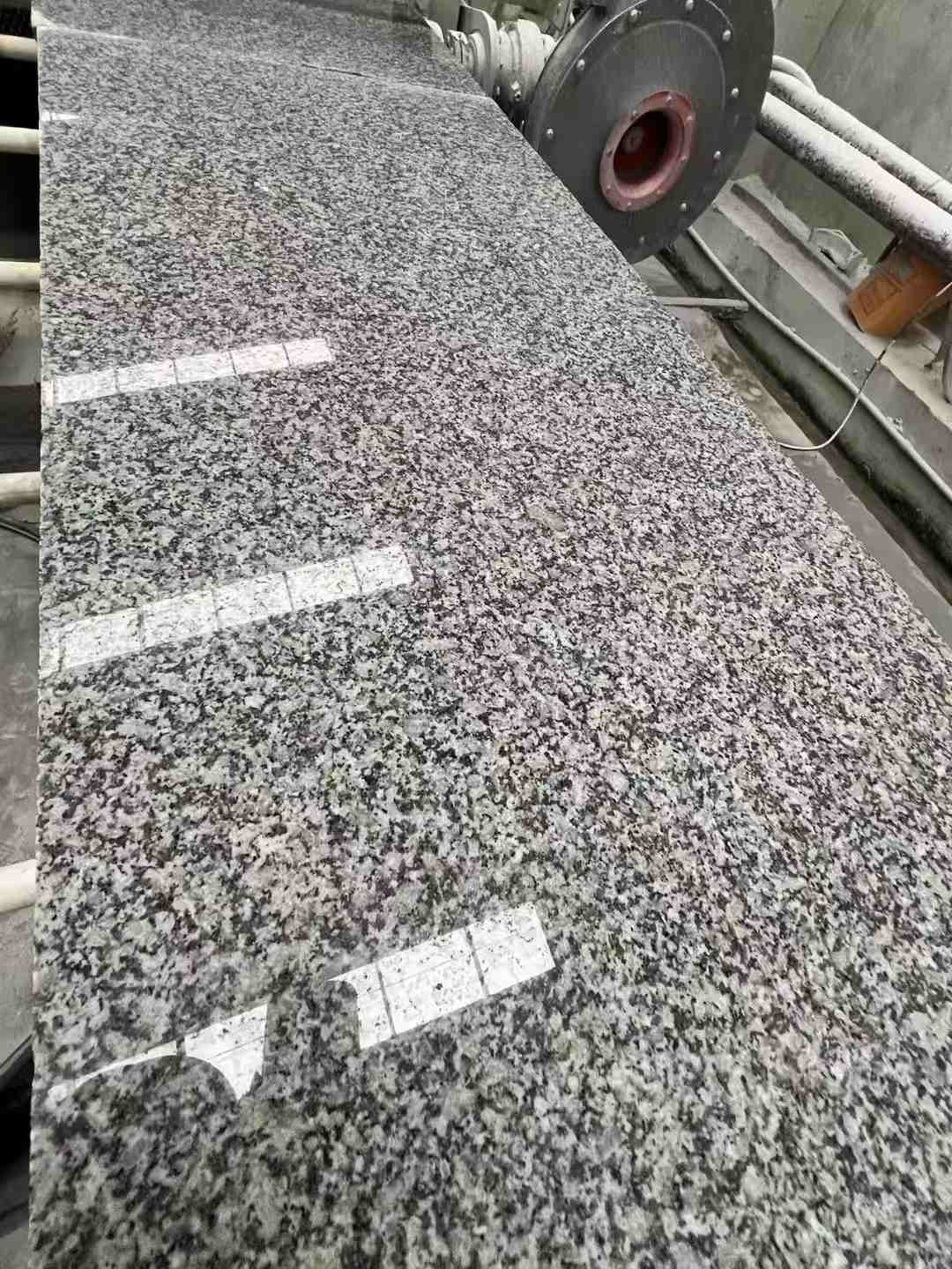 广州 芙蓉白光面