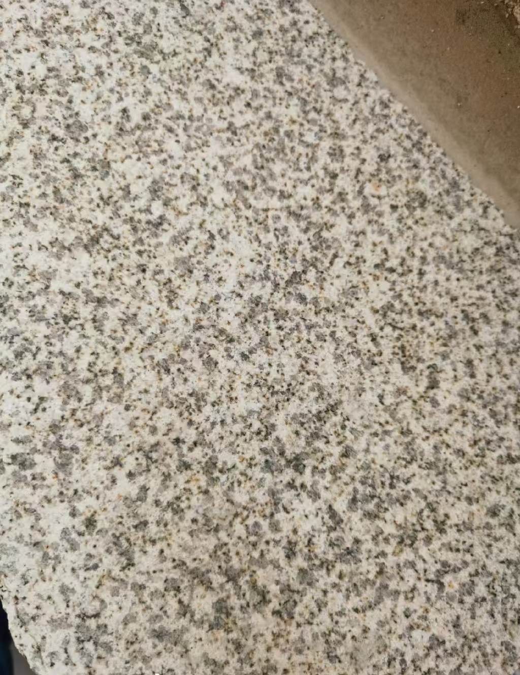 广州 黄金麻中黄光面