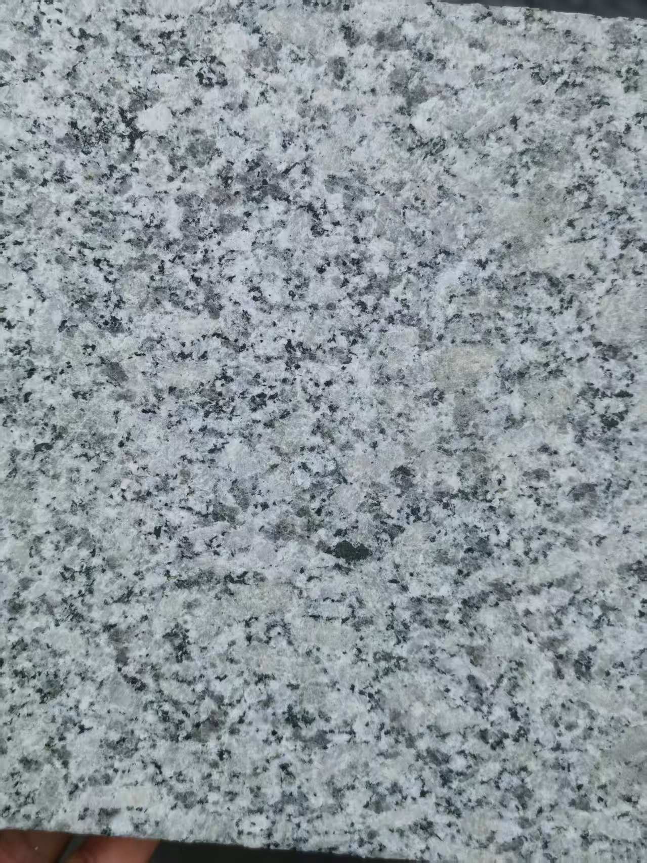 广州 芙蓉白火烧面