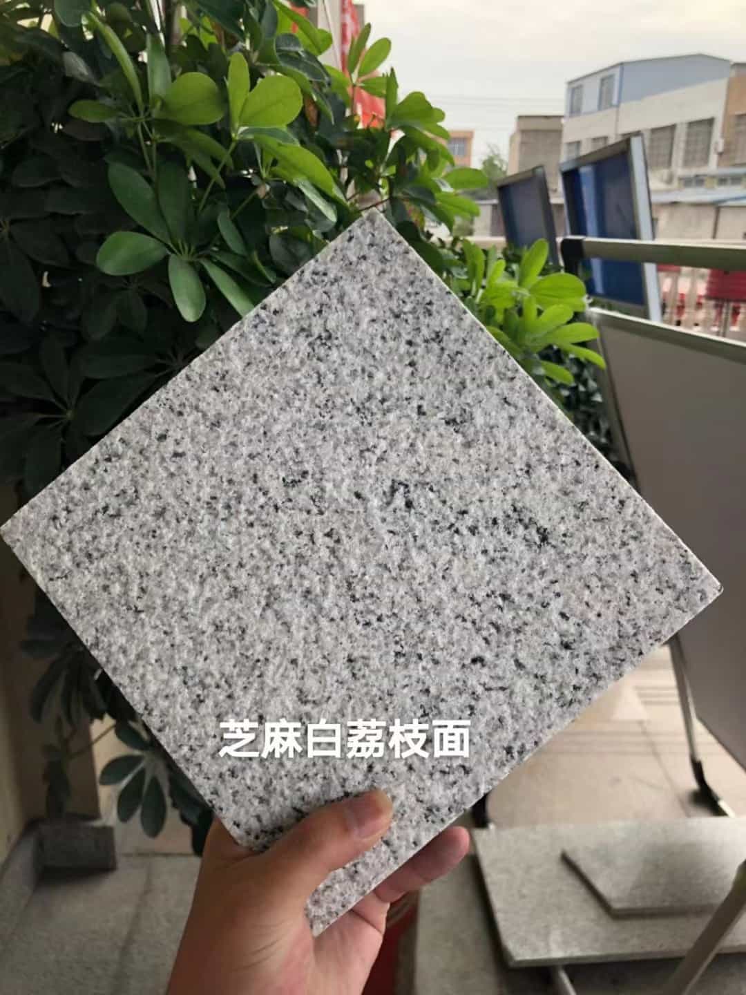 广州 芝麻白荔枝面干挂