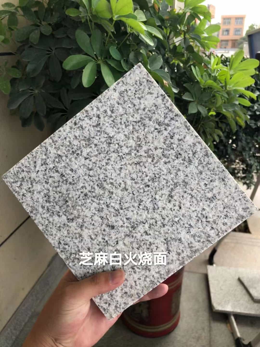 广州芝麻白火烧面地铺