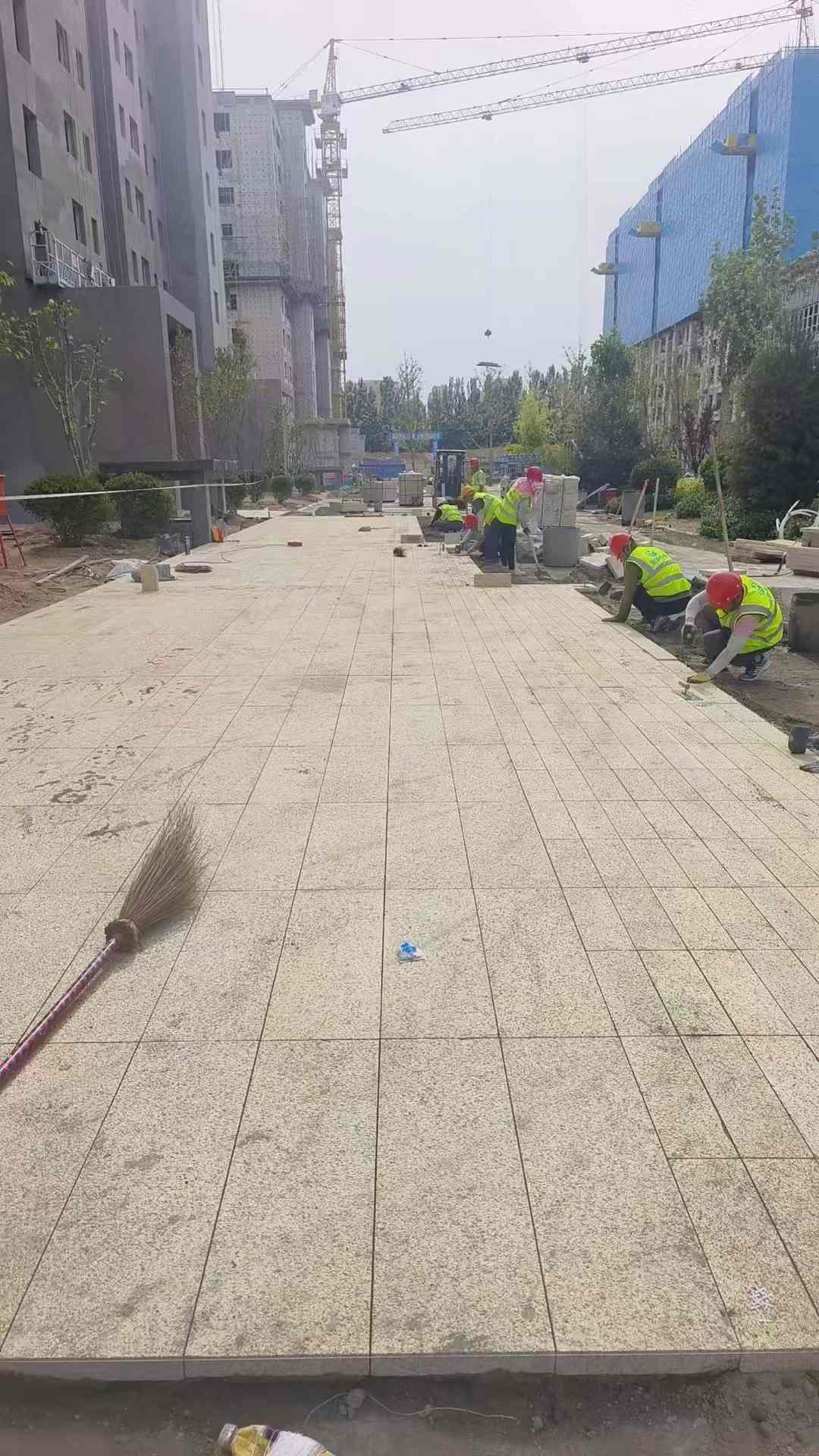 广州黄金麻荔枝面地铺案例